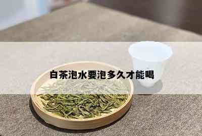 白茶泡水要泡多久才能喝