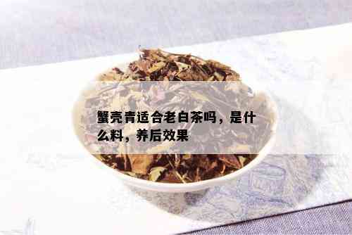 蟹壳青适合老白茶吗，是什么料，养后效果