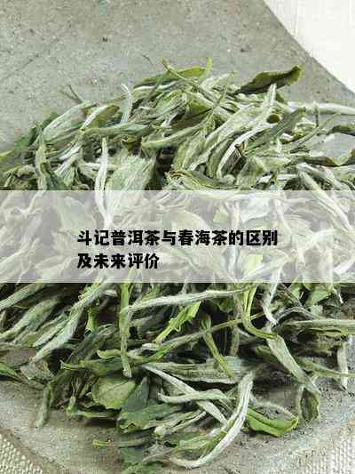 斗记普洱茶与春海茶的区别及未来评价