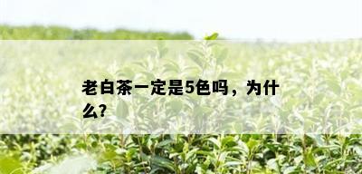 老白茶一定是5色吗，为什么？