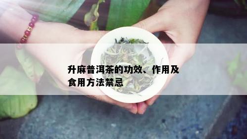 升麻普洱茶的功效、作用及食用方法禁忌