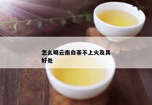 怎么喝云南白茶不上火及其好处