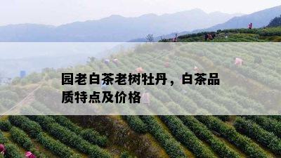 园老白茶老树牡丹，白茶品质特点及价格