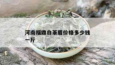 河南福鼎白茶眉价格多少钱一斤