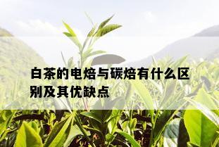 白茶的电焙与碳焙有什么区别及其优缺点