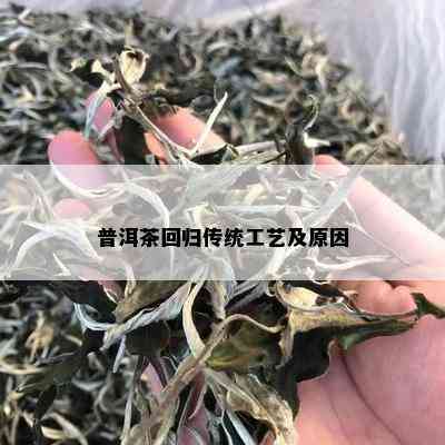 普洱茶回归传统工艺及原因