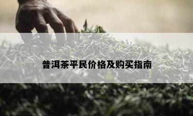 普洱茶平民价格及购买指南