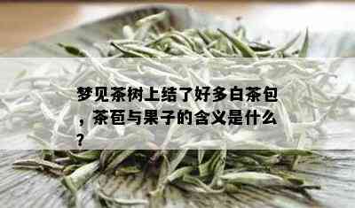 梦见茶树上结了好多白茶包，茶苞与果子的含义是什么？