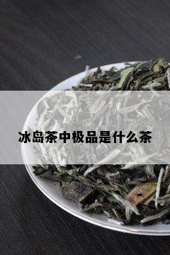 冰岛茶中极品是什么茶