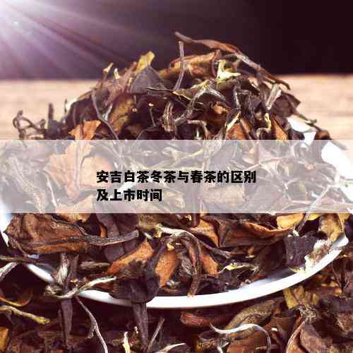 安吉白茶冬茶与春茶的区别及上市时间