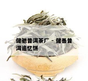 健驰普洱茶厂 - 健善普洱追忆饼