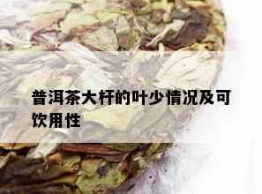 普洱茶大杆的叶少情况及可饮用性