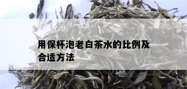 用保杯泡老白茶水的比例及合适方法