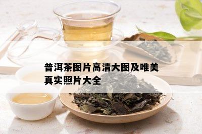 普洱茶图片高清大图及唯美真实照片大全