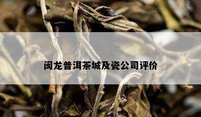 闽龙普洱茶城及瓷公司评价