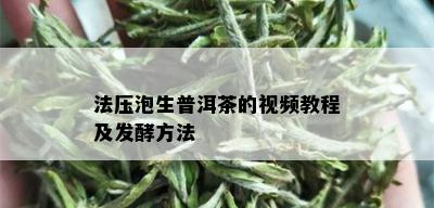 法压泡生普洱茶的视频教程及发酵方法