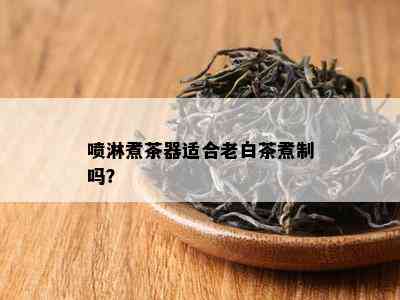 喷淋煮茶器适合老白茶煮制吗？