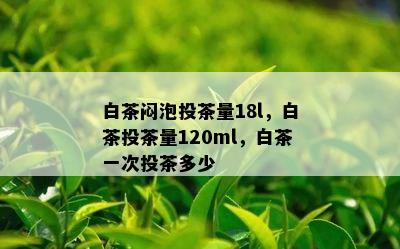 白茶闷泡投茶量18l，白茶投茶量120ml，白茶一次投茶多少