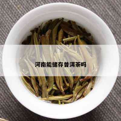 河南能储存普洱茶吗