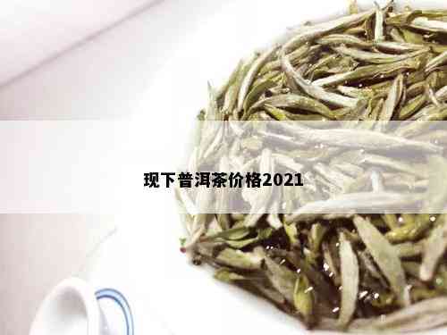 现下普洱茶价格2021