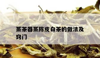 蒸茶器蒸陈皮白茶的做法及窍门