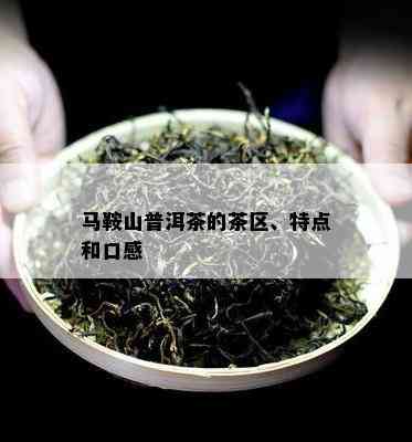 马鞍山普洱茶的茶区、特点和口感