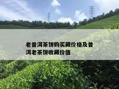 老普洱茶饼购买藏价格及普洱老茶饼收藏价值