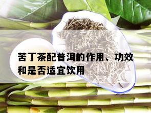 苦丁茶配普洱的作用、功效和是否适宜饮用