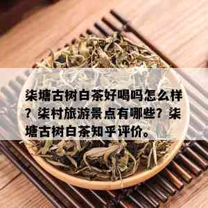 柒塘古树白茶好喝吗怎么样？柒村旅游景点有哪些？柒塘古树白茶知乎评价。