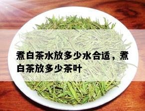 煮白茶水放多少水合适，煮白茶放多少茶叶