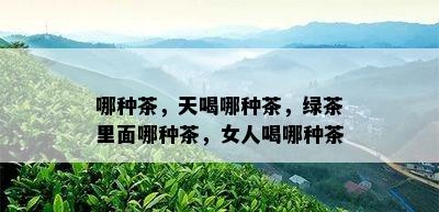 哪种茶，天喝哪种茶，绿茶里面哪种茶，女人喝哪种茶