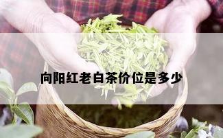 向阳红老白茶价位是多少