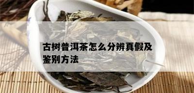 古树普洱茶怎么分辨真假及鉴别方法