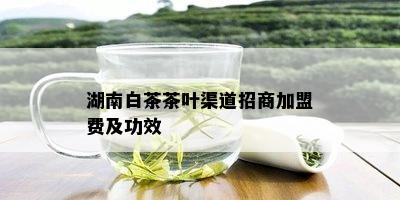 湖南白茶茶叶渠道招商加盟费及功效