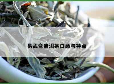 易武弯普洱茶口感与特点