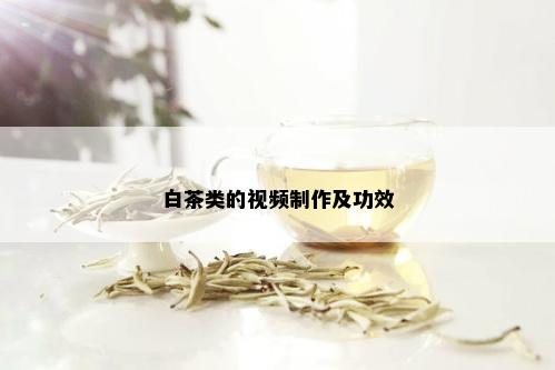 白茶类的视频制作及功效