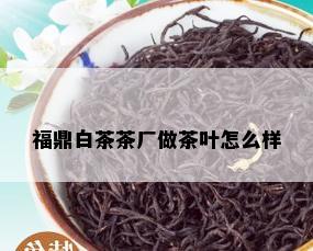 福鼎白茶茶厂做茶叶怎么样