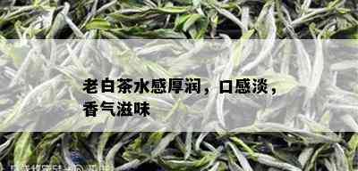 老白茶水感厚润，口感淡，香气滋味