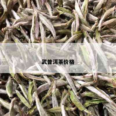 武普洱茶价格