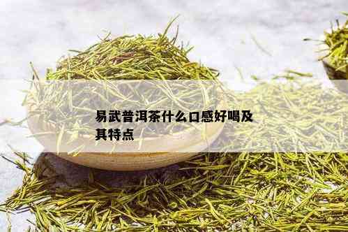 易武普洱茶什么口感好喝及其特点