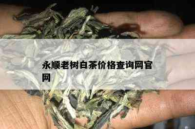 永顺老树白茶价格查询网官网