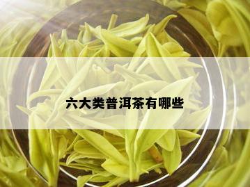 六大类普洱茶有哪些