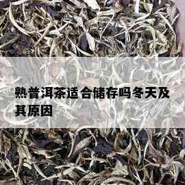 熟普洱茶适合储存吗冬天及其原因