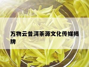 万物云普洱茶源文化传媒揭牌