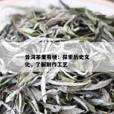 普洱茶里有梗：探索历史文化，了解制作工艺