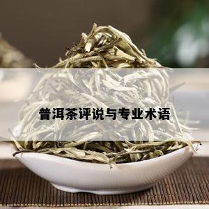 普洱茶评说与专业术语