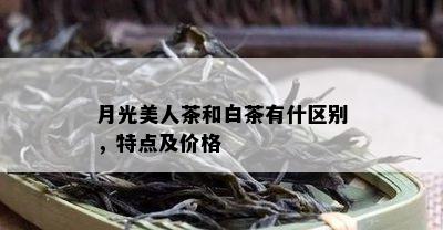 月光美人茶和白茶有什区别，特点及价格