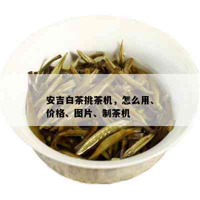 安吉白茶挑茶机，怎么用、价格、图片、制茶机