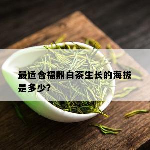 最适合福鼎白茶生长的海拔是多少？