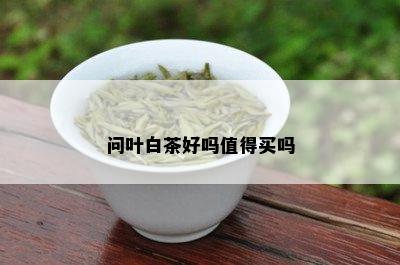 问叶白茶好吗值得买吗